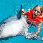 hurghada-Swim-with-dolphins-1112×630